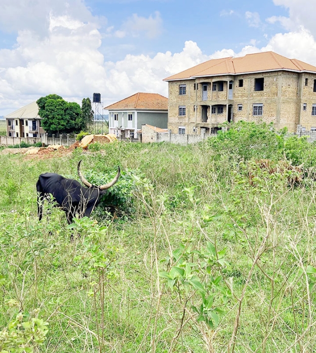 WhatsApp Image 2025-04-15 at 12.12.00.jpg